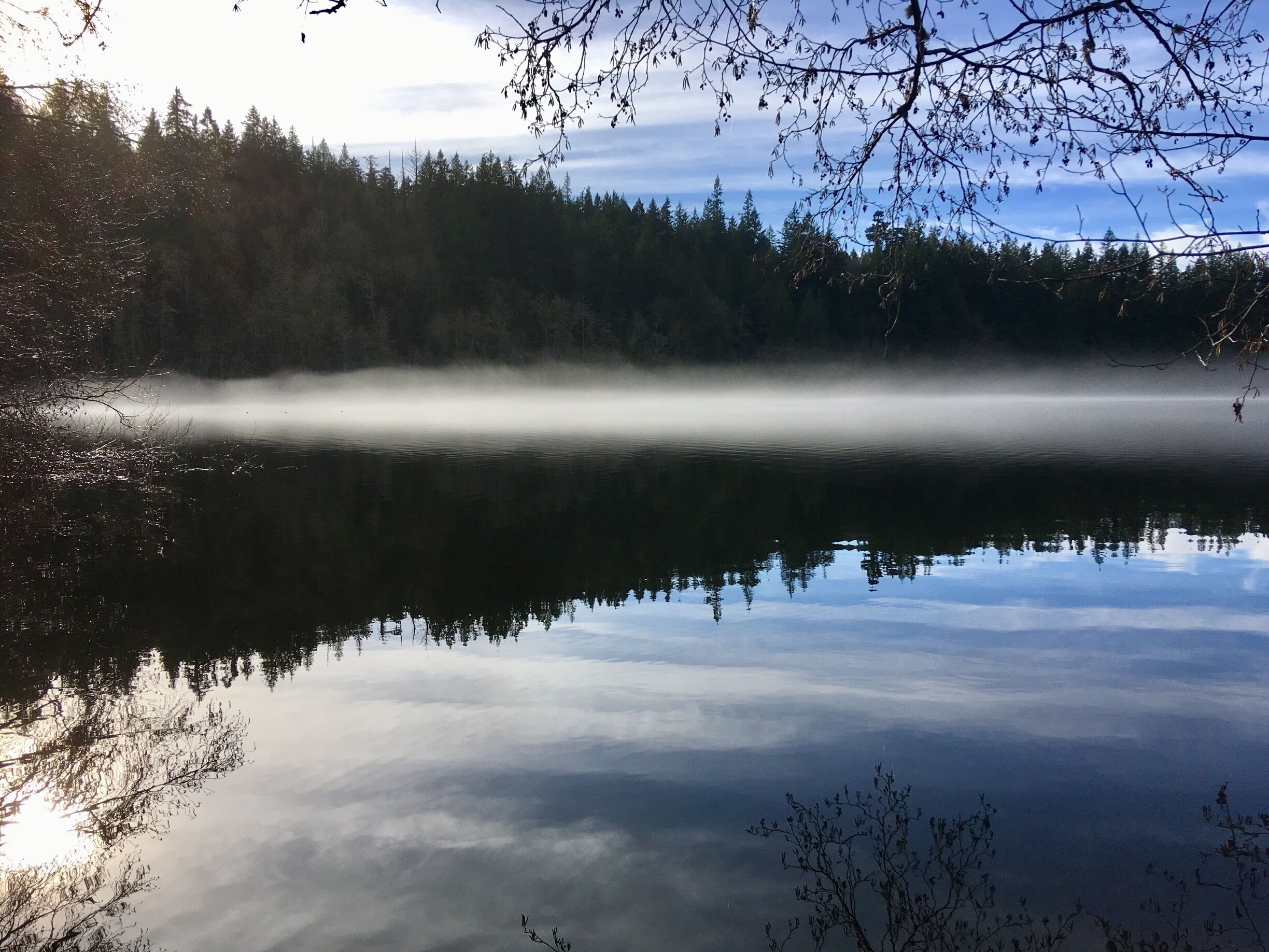 Just a scenic view on my morning walk.