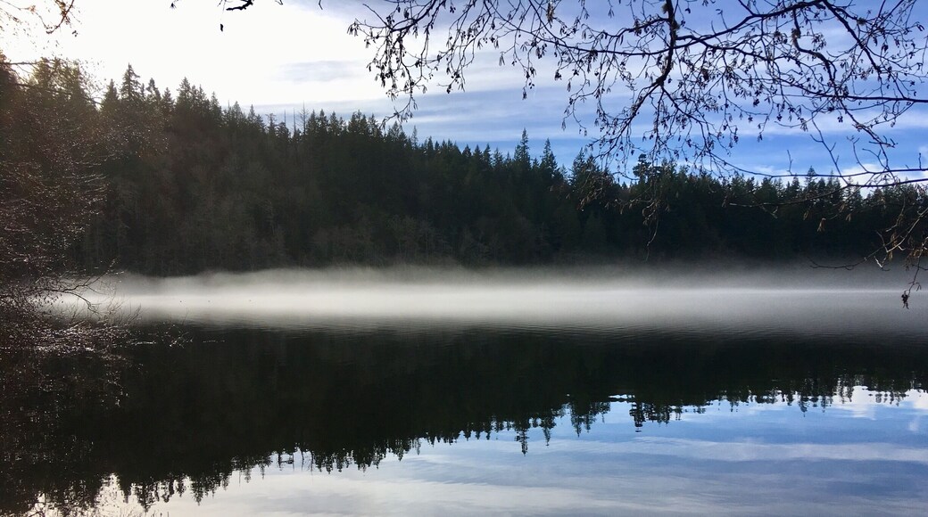 Just a scenic view on my morning walk.