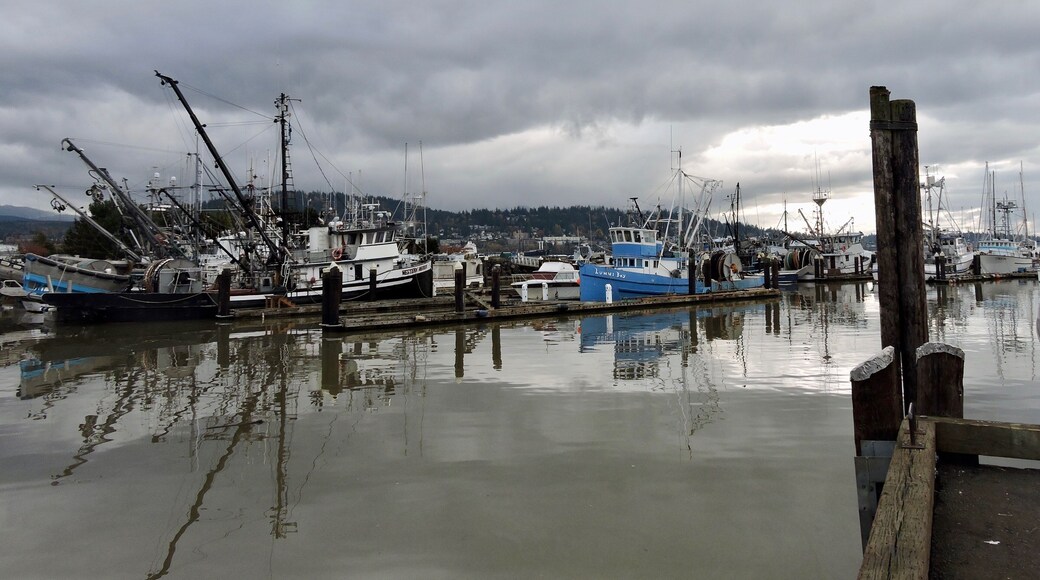 The harbour/marina in Bellingham, Washington.
#Bellingham
#Washington