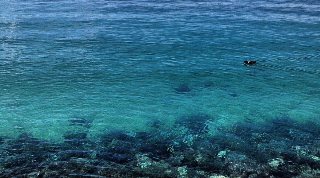 Views uplake from the Ranger Station in Lake Chelan, WA