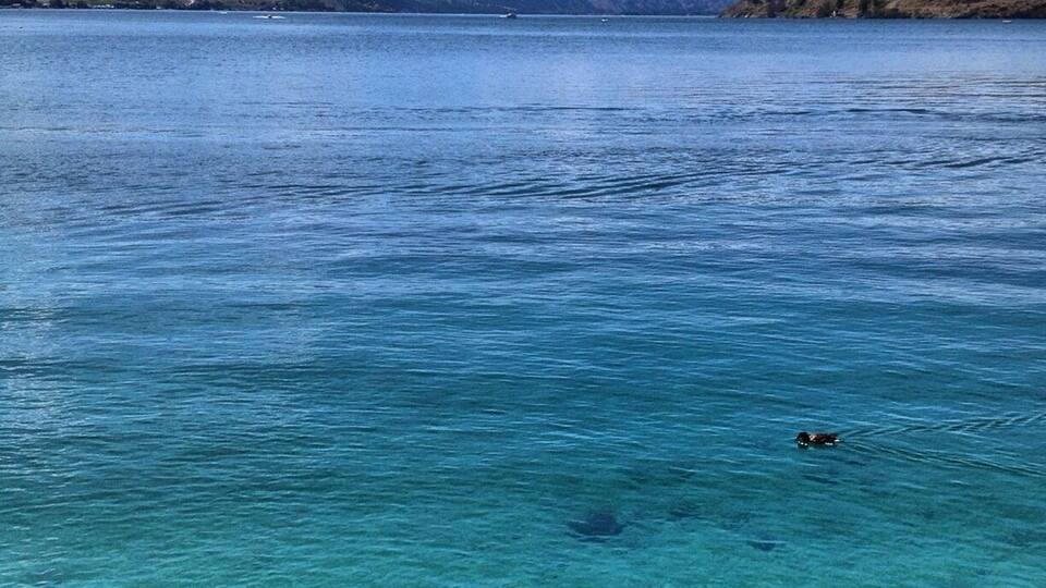 Views uplake from the Ranger Station in Lake Chelan, WA