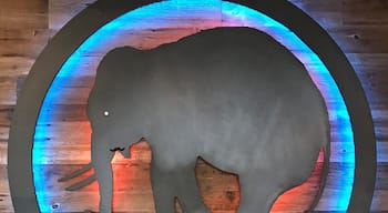 2x4 beer is awesome.