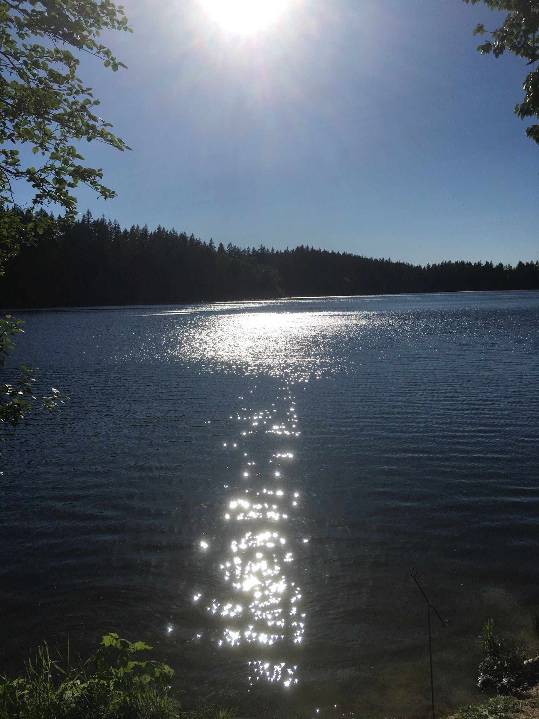 Lovely day at the lake. 