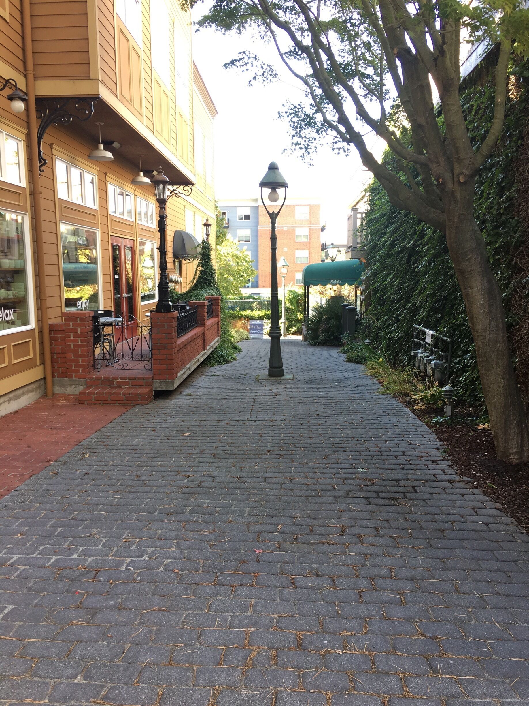 30 mins south of the Canadian border you stumble upon historic Fairhaven with cobblestone walks, murals, restaurants and antique shops.

Check out the olive oil shop for a free taste test of a wide selection of flavoured oils and vinegars.