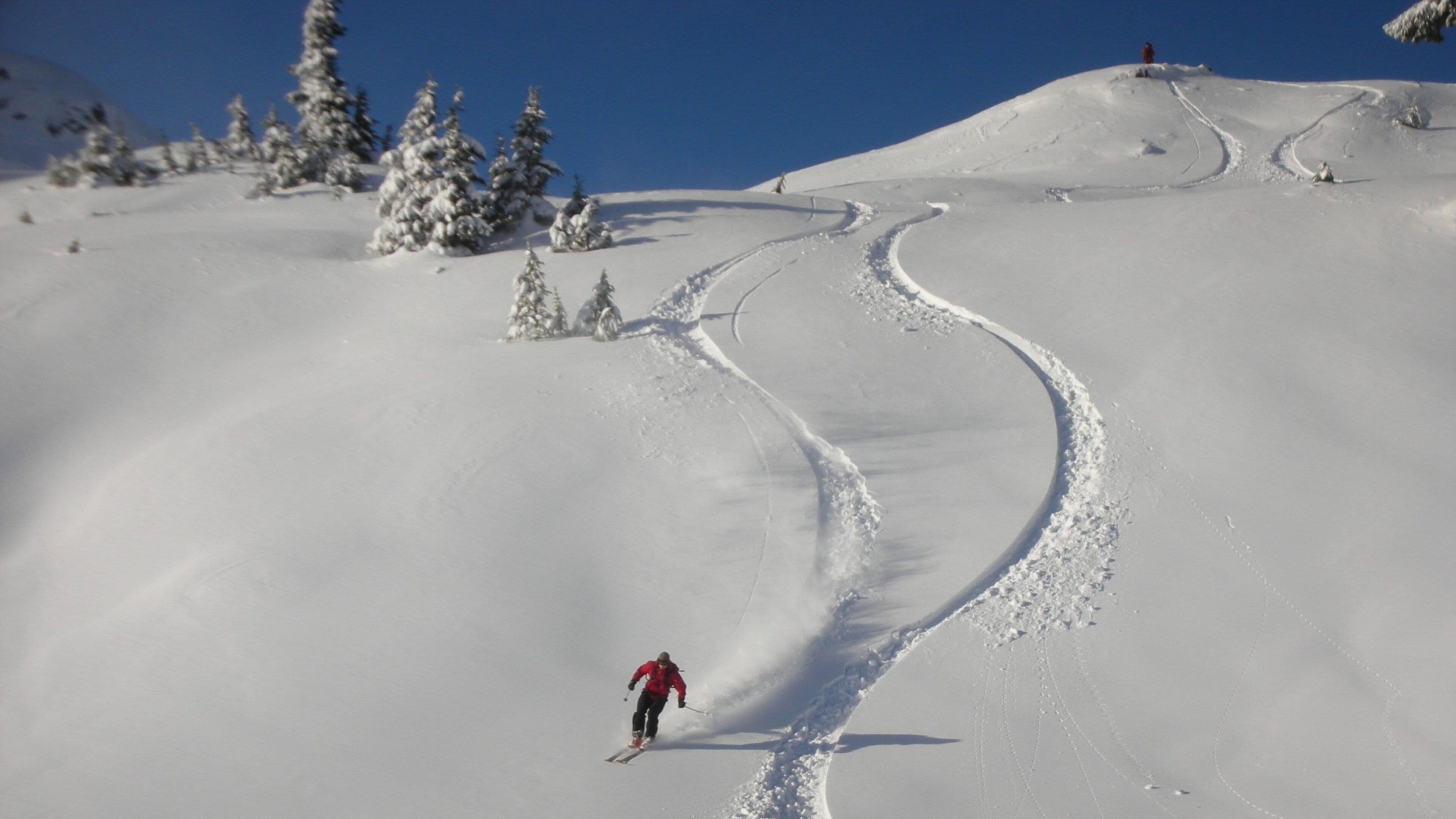 Bellingham que incluye esquí, montañas y nieve