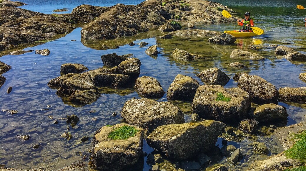 Great day for a kayak! #getoutside #optoutside #nature #bellingham #washington #pnw #upperleftusa #springpics #greenery #kayak