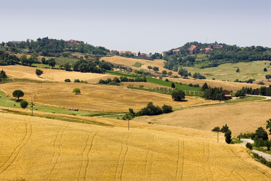 europe, italy, tuscany, panoramic view with cinigiano