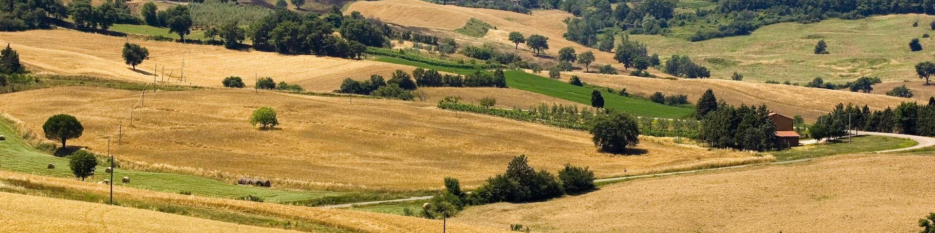 europe, italy, tuscany, panoramic view with cinigiano