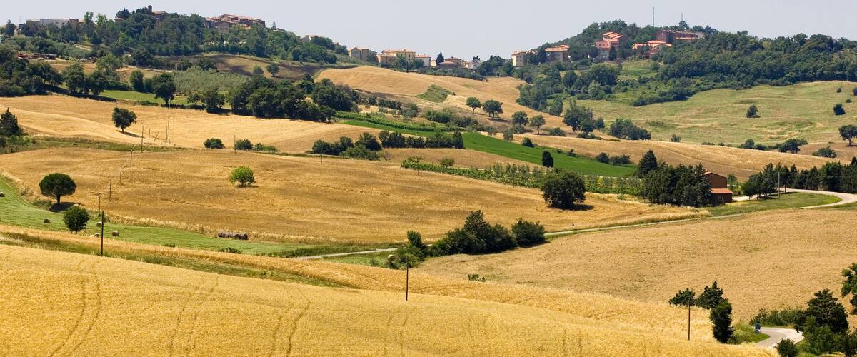 Rolling hills with golden wheat fields, scattered trees, and a distant village with buildings on a hill.