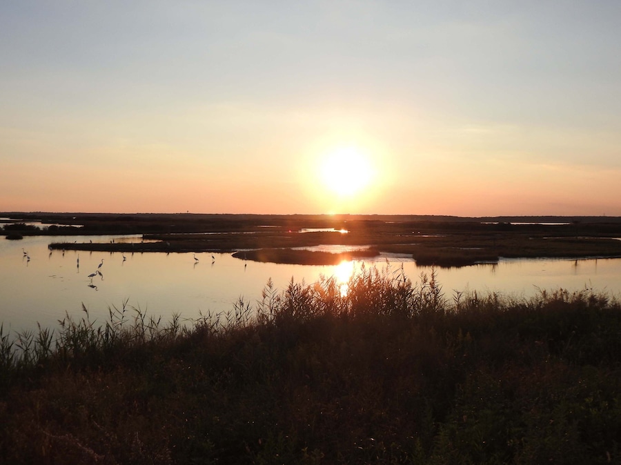You get a peaceful feeling, as the sun sets over the wetland marsh within the Edwin B. Forsythe National Wildlife Refuge, Galloway, New Jersey.