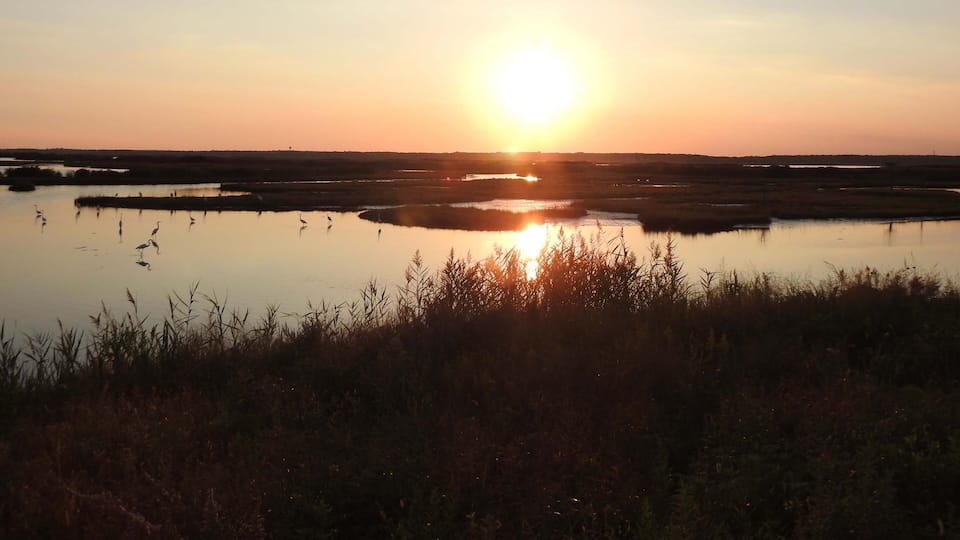 A sunset over a marshy landscape with water reflecting the sun.
