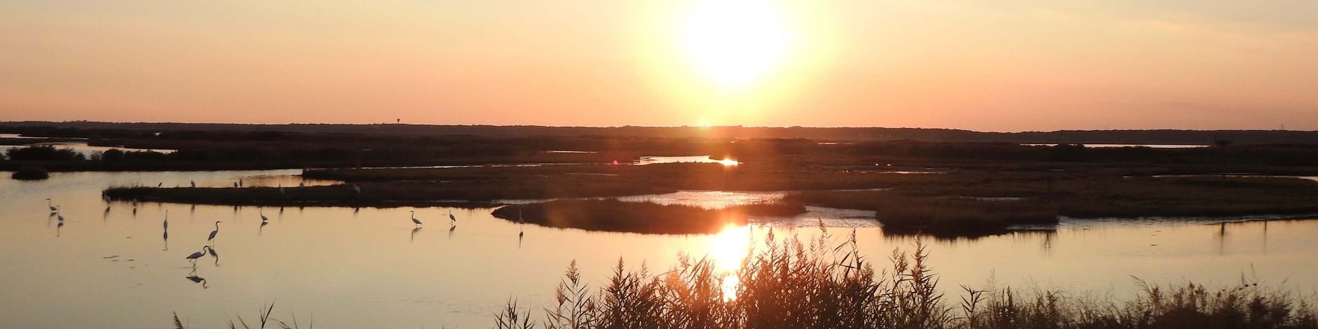 You get a peaceful feeling, as the sun sets over the wetland marsh within the Edwin B. Forsythe National Wildlife Refuge, Galloway, New Jersey.