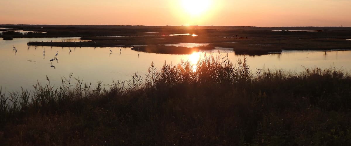You get a peaceful feeling, as the sun sets over the wetland marsh within the Edwin B. Forsythe National Wildlife Refuge, Galloway, New Jersey.