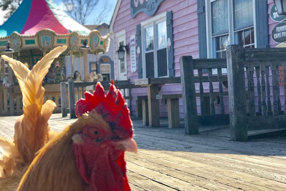 A rooster in front of a pink building with a sign that reads "Scoops Pizzeria."