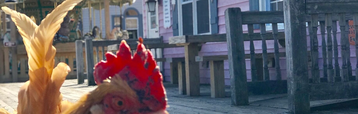 Outside the pizza place on the boardwalk of Smithville. Made a new friend.