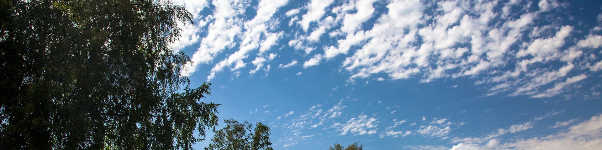 Dalalven River Bank,Sweden