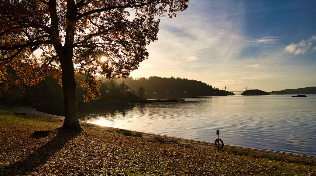 ์ฐ๋ฐ๋ฐ๋ผ