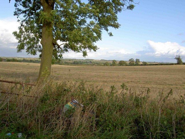 Farmland from Gallows Lane