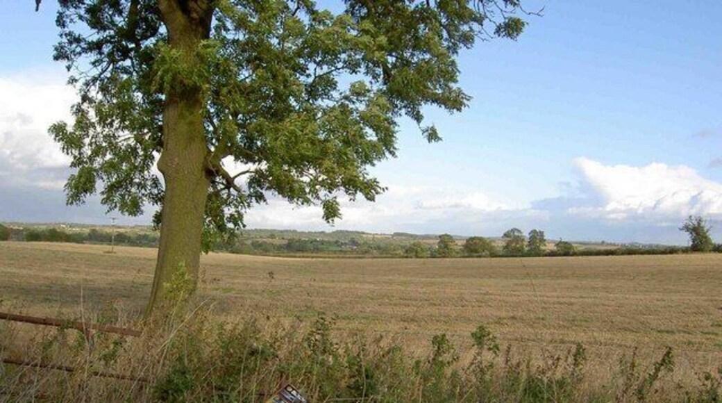 Farmland from Gallows Lane