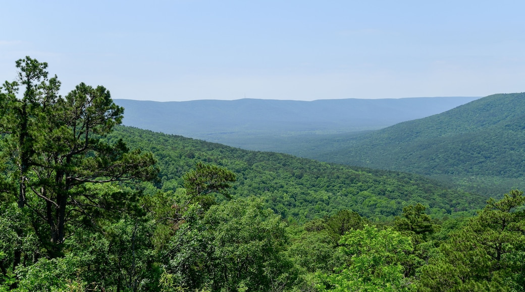 เดอควีน