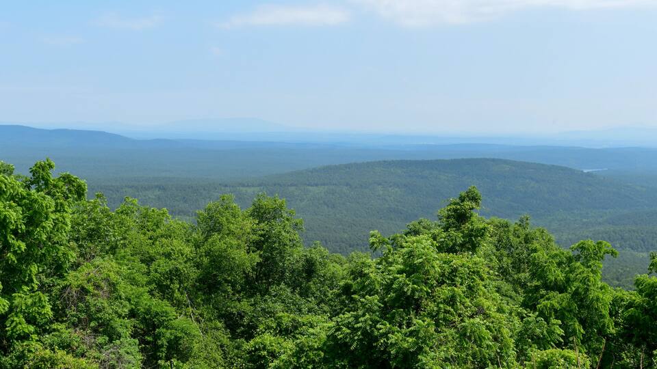 A lush green forest with rolling hills and distant mountains under a clear sky.