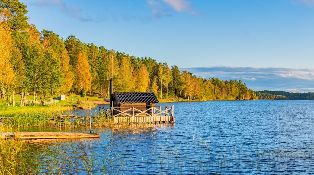 Nossen lake in autumn. Sweden