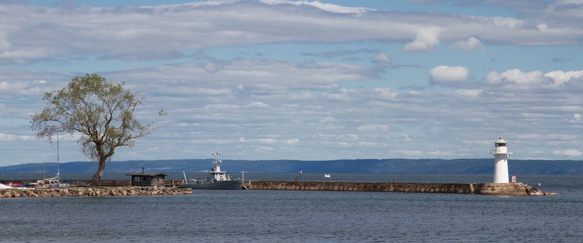 A lighthouse, a tree, and a rocky pier by the water.