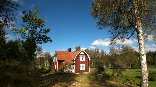 typisches rotes Holzhaus in Schweden Skandinavien
