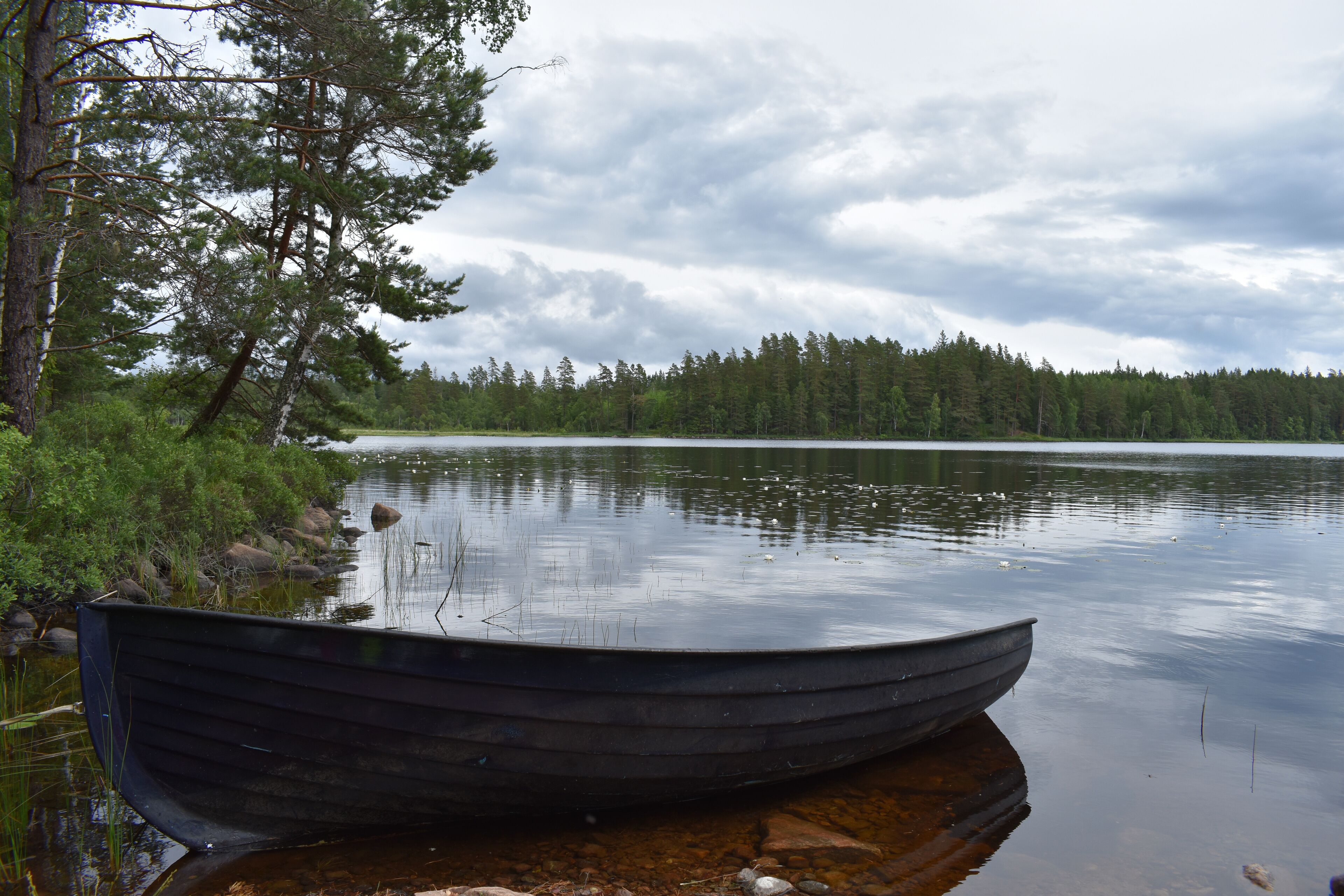 Kleines braunes Ruderboot liegt am Ufer eines ruhigen Sees in Schweden bei Gislaved