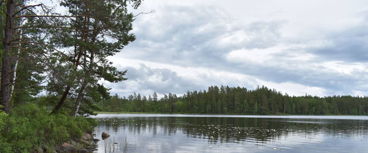 En stilla sjö med en liten båt förtöjd vid stranden, omgiven av tät skog och en molnig himmel.