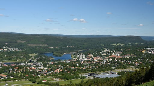 View to the Northeast over the town "Sollefteå" in the North of Sweden