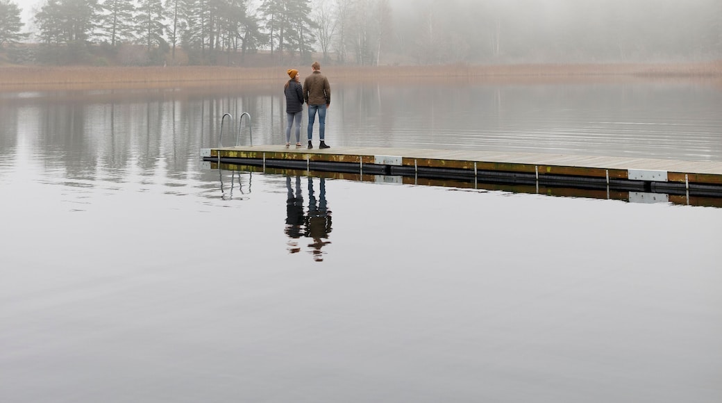 ๋ฏธ์ฌ๋ท