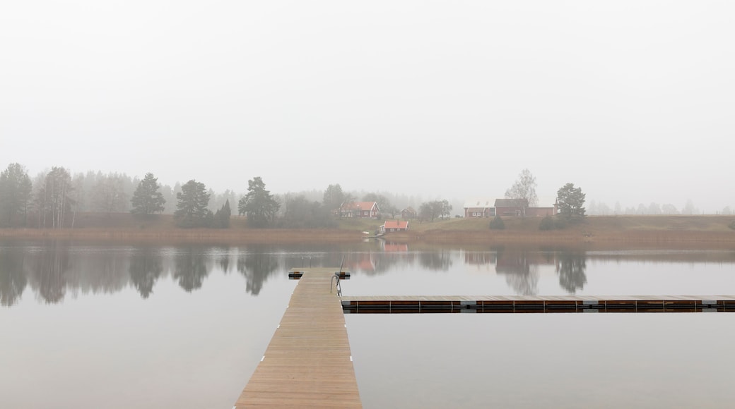 ๋ฏธ์ฌ๋ท