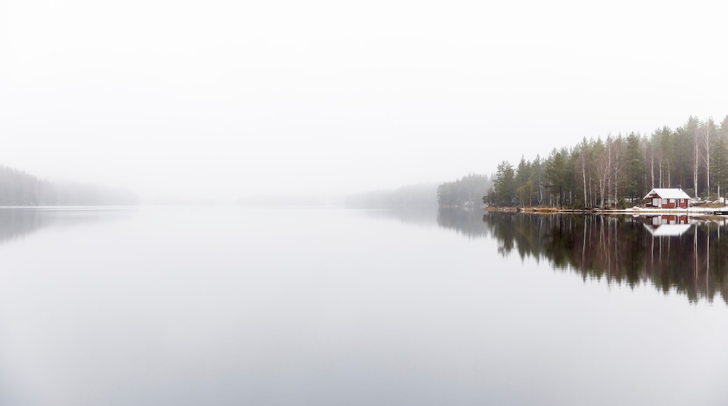 Fog over Ormlangen lake in Finspang, Sweden