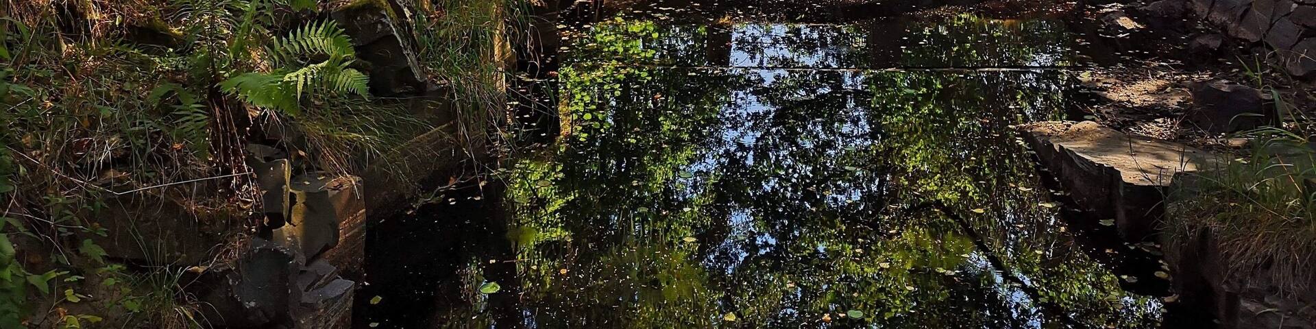 Ecopark Halle-Hunneberg, Sweden