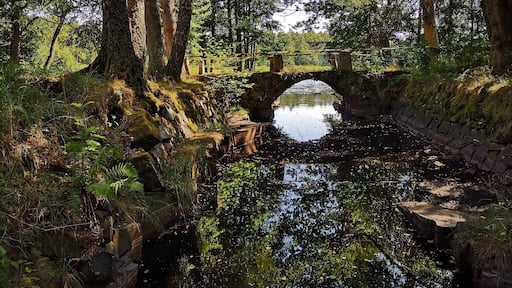 Ecopark Halle-Hunneberg, Sweden