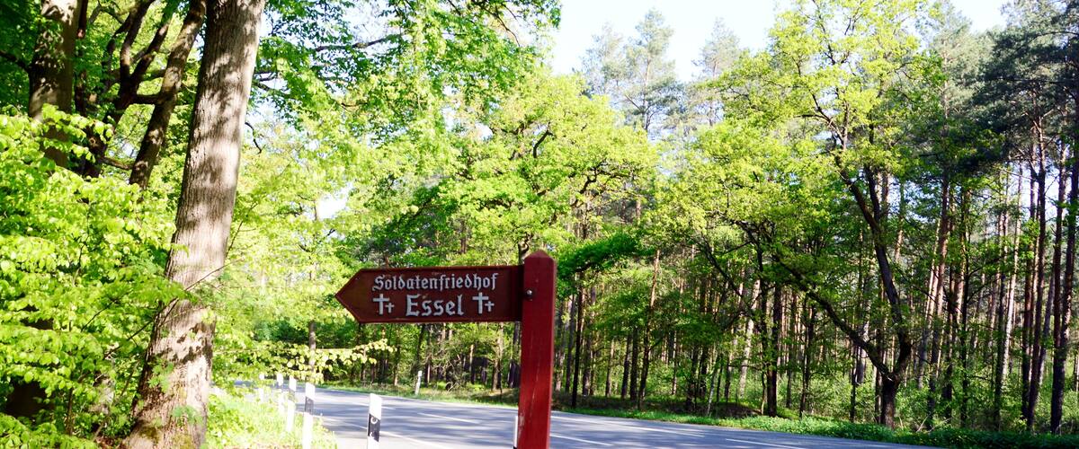 A signpost in a forested area with a road in the background.