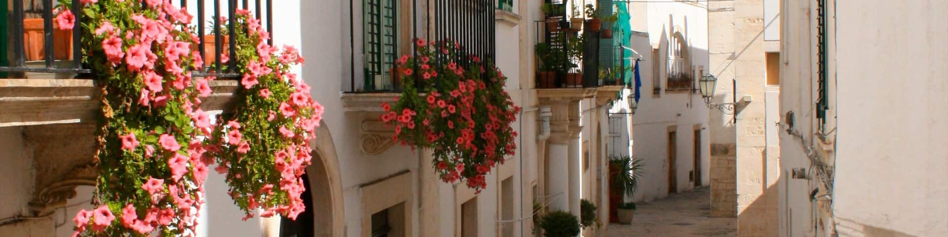 Otranto showing flowers and street scenes