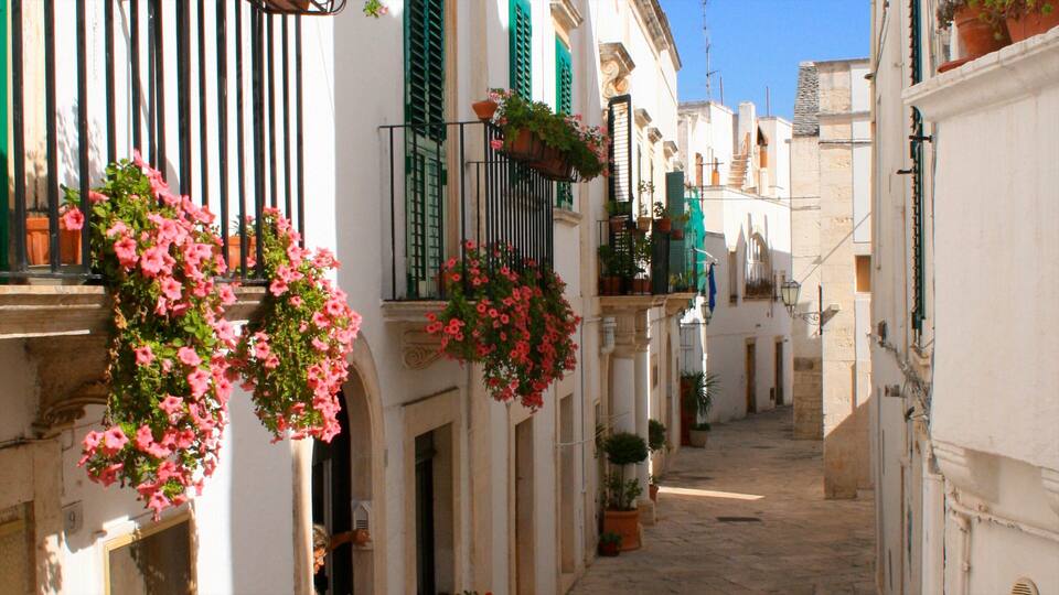 A narrow street with white buildings, green shutters, and hanging flower baskets.