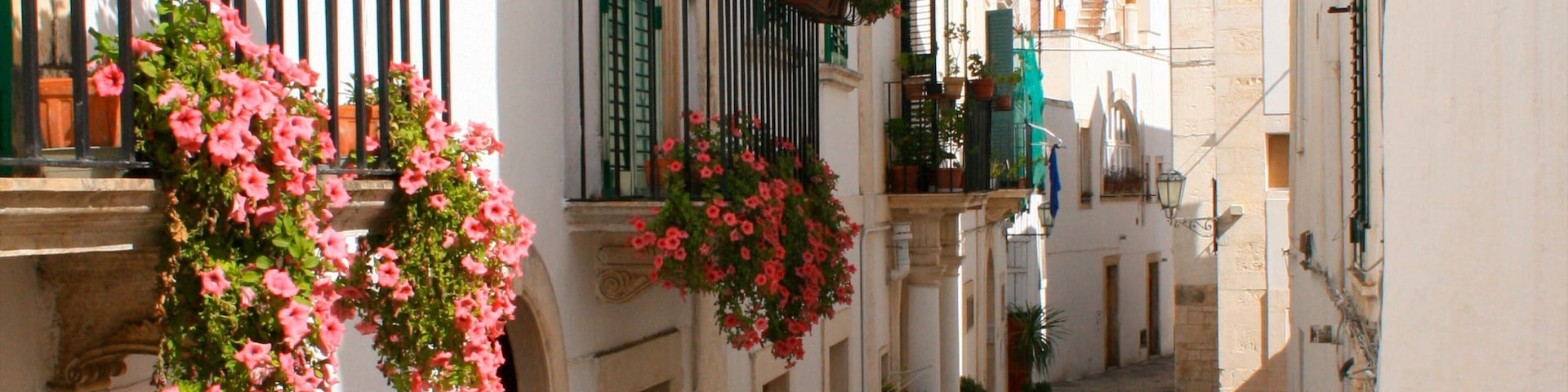 Otranto featuring street scenes and flowers