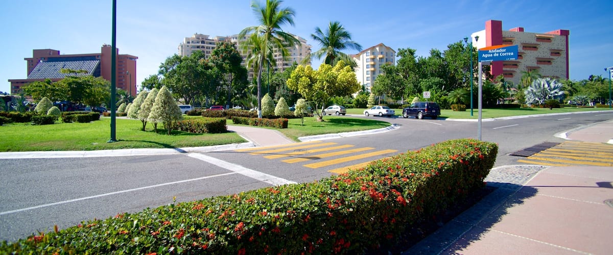 Ixtapa - Zihuatanejo trong đó bao gồm thành phố và cảnh đường phố