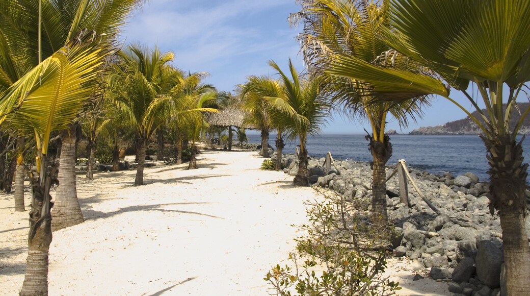 Ixtapa - Zihuatanejo