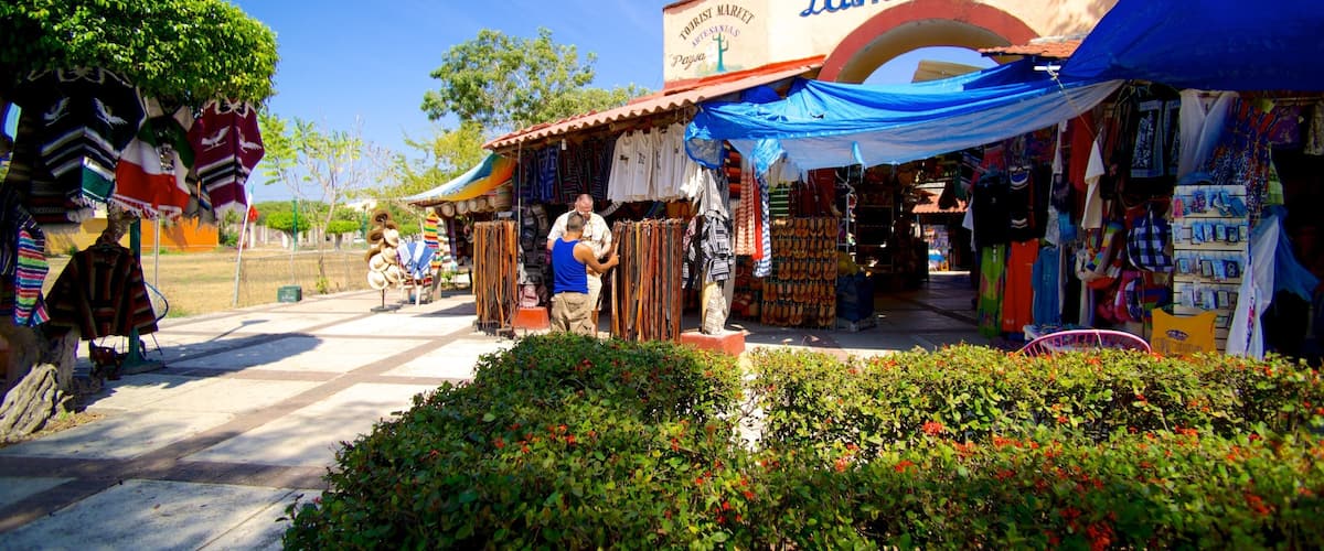 Ixtapa - Zihuatanejo que incluye escenas urbanas y mercados