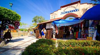 Ixtapa - Zihuatanejo mostrando cenas de rua e mercados