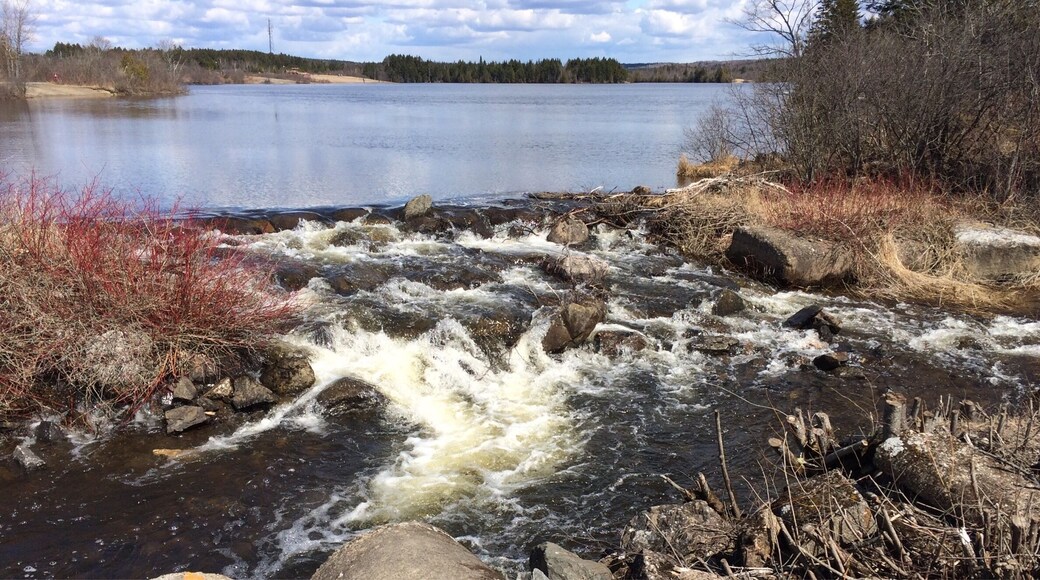 I love going for walks with a friend as often as possible.