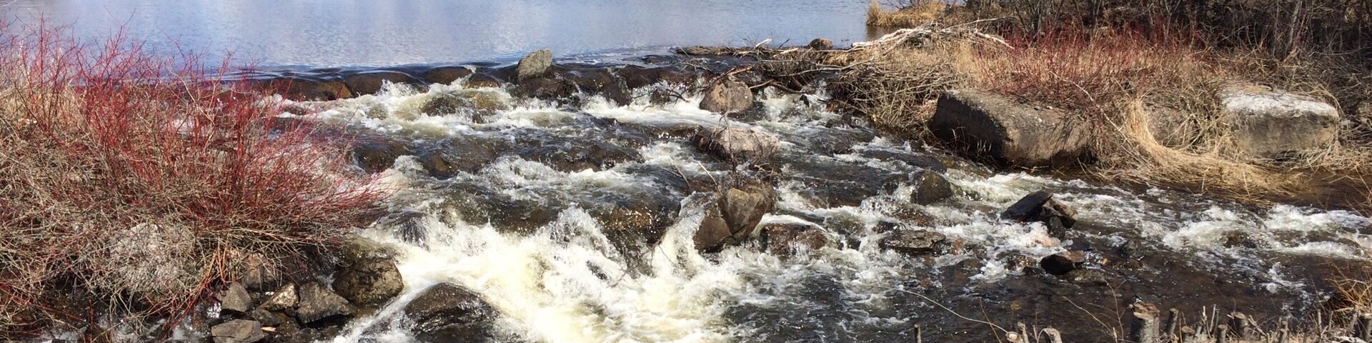 I love going for walks with a friend as often as possible.