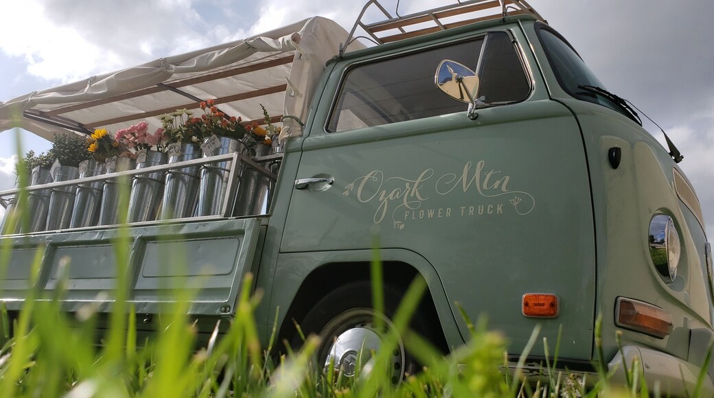 Spring is the perfect time to visit Springfield and create your own bouquet of fresh Ozark flowers.
#LifeAtExpedia
#OnTheRoad