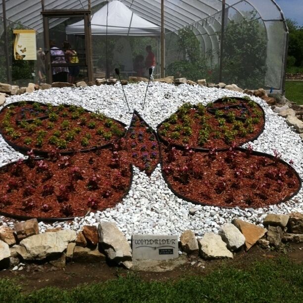 A butterfly at the Butterfly Housr