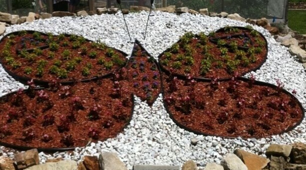 A butterfly at the Butterfly Housr