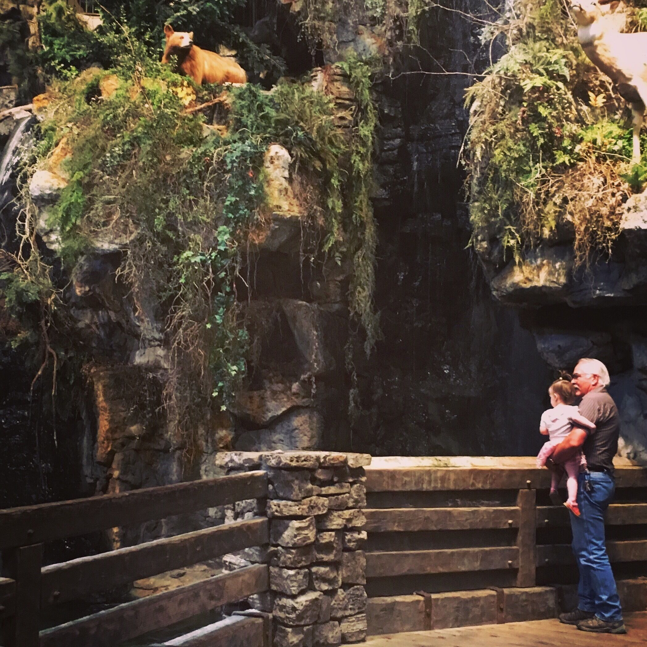 My Dad and daughter taking in the indoor waterfall and large fish tank below. 